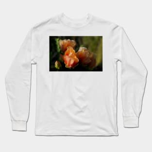 Just Peachy Long Sleeve T-Shirt